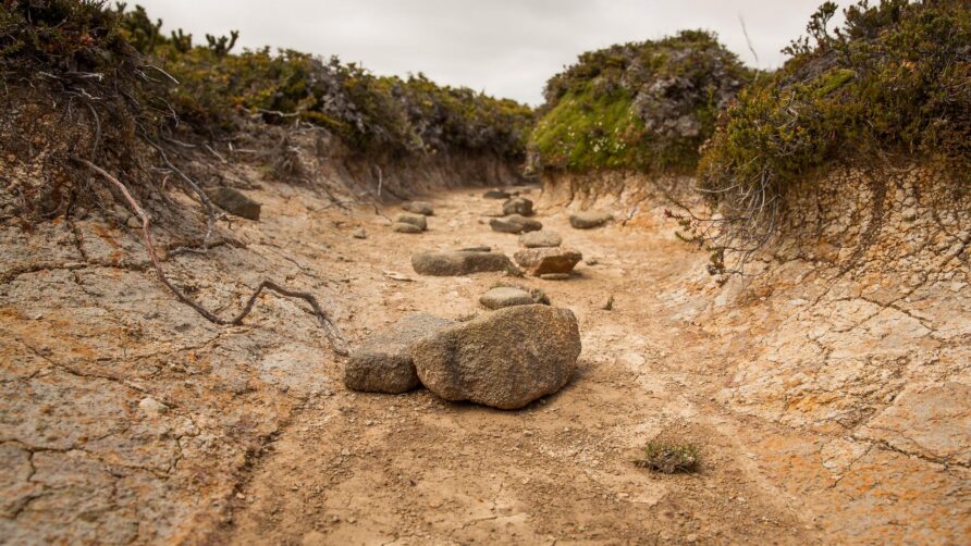 Środek pory suchej na Jamajce, opady będą maleć