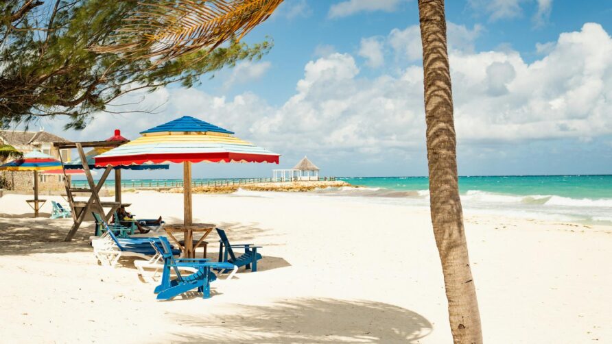 Nowa reprezentacja Jamajki w Europie – team neusta otwiera nowe możliwości