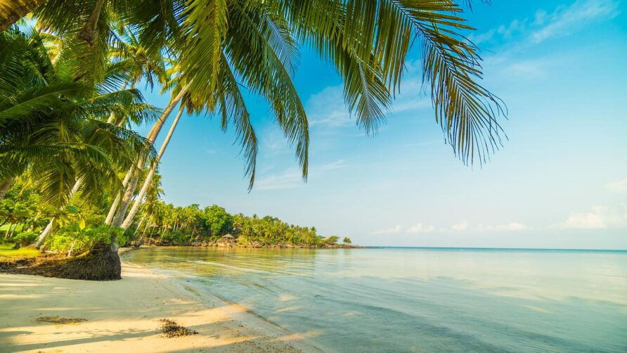 Jamajka się odradza. Zrównoważony raj na Karaibach